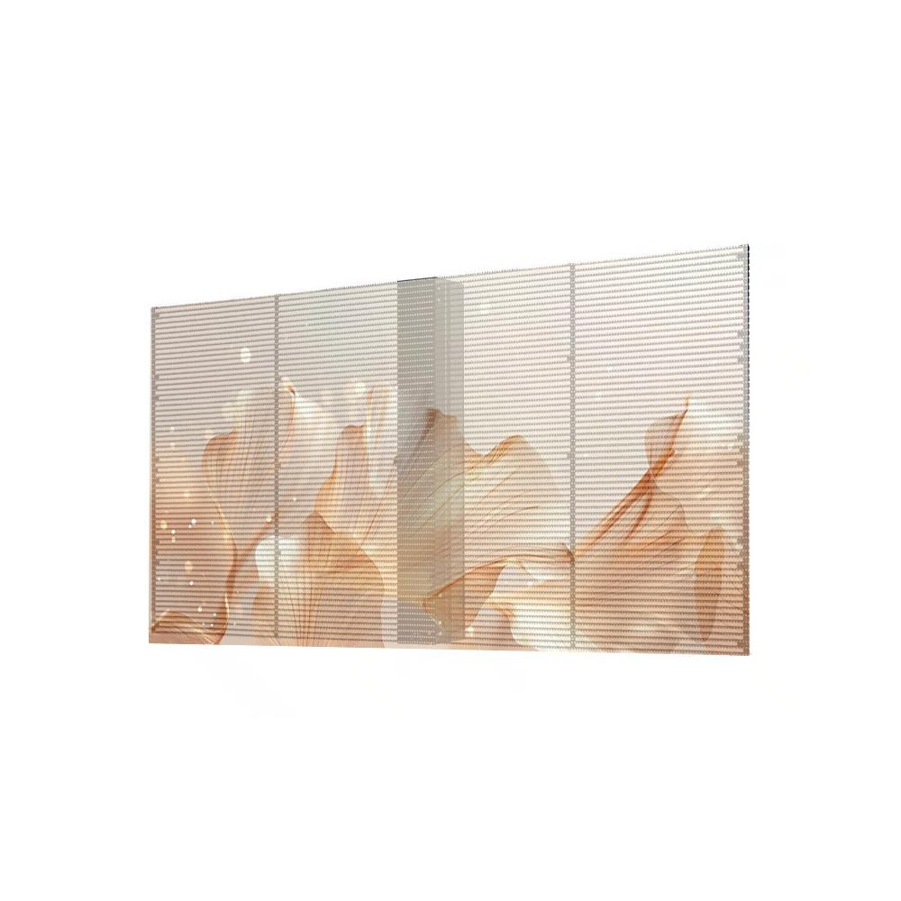 Transparent LED Display